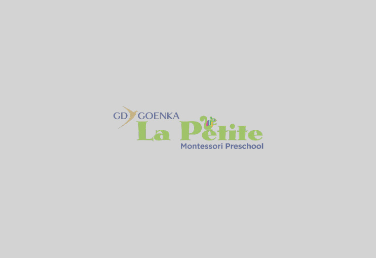 program